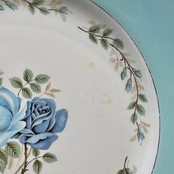 Barratt’s Delphatic White (BTT3) Dinner Plate - Picture 3 of 5